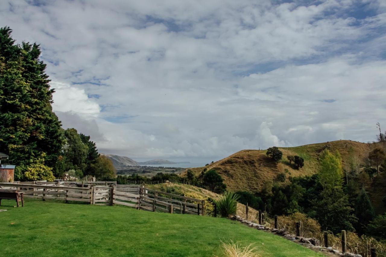 Luxury Stay, Alpaca Farm Paraparaumu Exterior photo