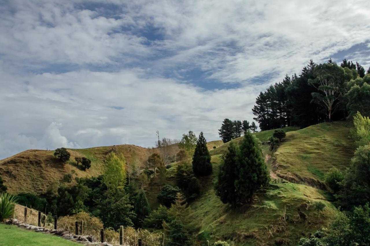 Luxury Stay, Alpaca Farm Paraparaumu Exterior photo
