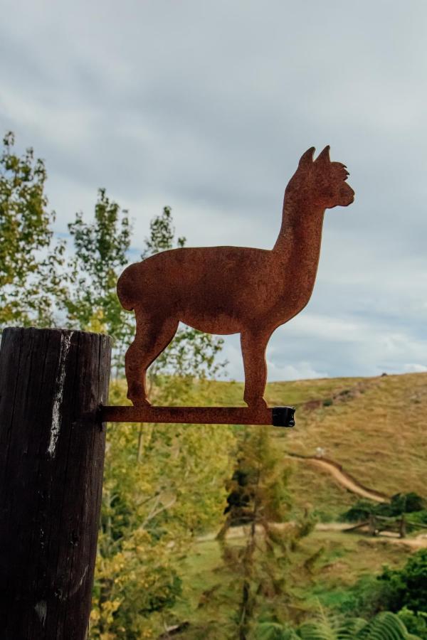 Luxury Stay, Alpaca Farm Paraparaumu Exterior photo